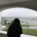 리젠타임 이미지