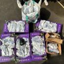 상안농장 이미지