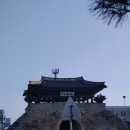 김박사집