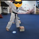 정진태권도 | 도전의 결실, 태권도 5단 심사 도전기! (필기부터 격파까지)