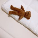 성동도치에듀 | * 3개월 아기 기록 : 피부염 소아과 , 첫 조동모임 (111days~)