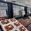 161 | 파머스161 도안점 오픈 후기｜식물부터 가성비 농산물까지, 장보기 좋은 곳