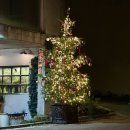 12/11 크리스마스 생화 트리 이미지