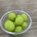 고양농장 | 경기도 고양시 농장의계절 농촌체험학습 방문후기