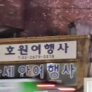 호원여행사 이미지