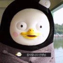 청개구리부동산중개 | 일본 도쿄 워홀 집 구하기 (ft. 미친부동산 후기 / 2인 입주)