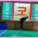 태권도 골든로드 이미지