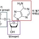신진슈퍼 이미지