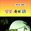 달빛 속의 시 / 예박시원 평론집 (전자책) 이미지