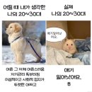 오너먼트커피