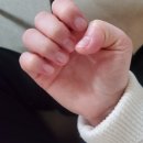 피넛네일 이미지