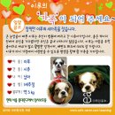 이루동물병원 이미지