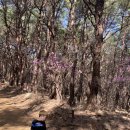 진호축산 이미지