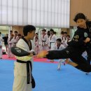 용인대수석태권도 이미지