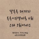 토브네 펫살롱 이미지