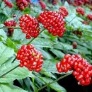 진생농장 이미지