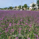 의림지-07 이미지