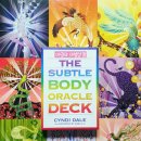 Subtle Body: 학술연구주제 이미지