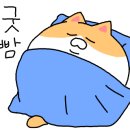 소소한 집사 이미지
