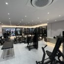 핏버디짐 이미지