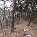 숭선고개길 Daum카페