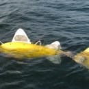 To the Sea 이미지