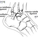 숲속부부한의원 이미지