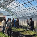 지초도 전남일보