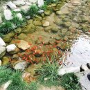 흥도초등학교 이미지