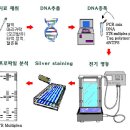 유전자 지문과 친자 확인, “조사하면 다 나와!” 이미지