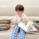 (주)파란세상 네이버블로그
