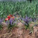 단군농장 이미지