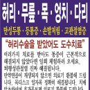 척추근육강화기 이미지