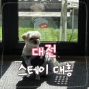 스테이 대흥 네이버블로그