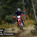 호넷컴퍼니 이미지