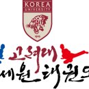 고려대 김세원 태권도 이미지