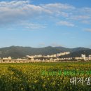 대저생태공원캠핑장 이미지