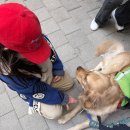 서울도넛츠가산 | [가산 카페] 주말 아이랑 가기 좋은 정원 뷰! 가산퍼블릭 노티드 도넛 솔직 후기 (카공족은 살짝 아쉽?!)