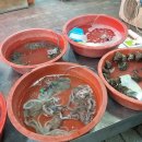 은비네농장 이미지