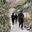 w-30 | [W.30] 국민연금 웨딩홀 뷔페시식 후기! 더파티 프리미엄 시청점