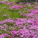 금파공업고등학교 이미지