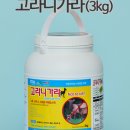 주식회사 고라니 이미지