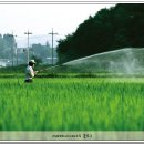 흥농농약사 이미지