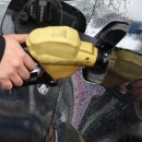 주유소꽃길 이미지