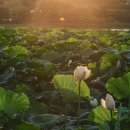 신정호수공원-7 이미지