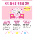 빨리펫 이미지