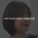 | 제주 미용실 | 단발허쉬펌 맛집 아라동 미용실 #엘시크