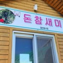 돈참새미 이미지