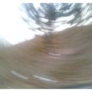 부림태권도장 이미지