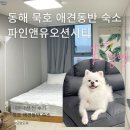 1220 | 동해 묵호 애견동반 숙소 파인앤유오션시티 1220호 솔직후기